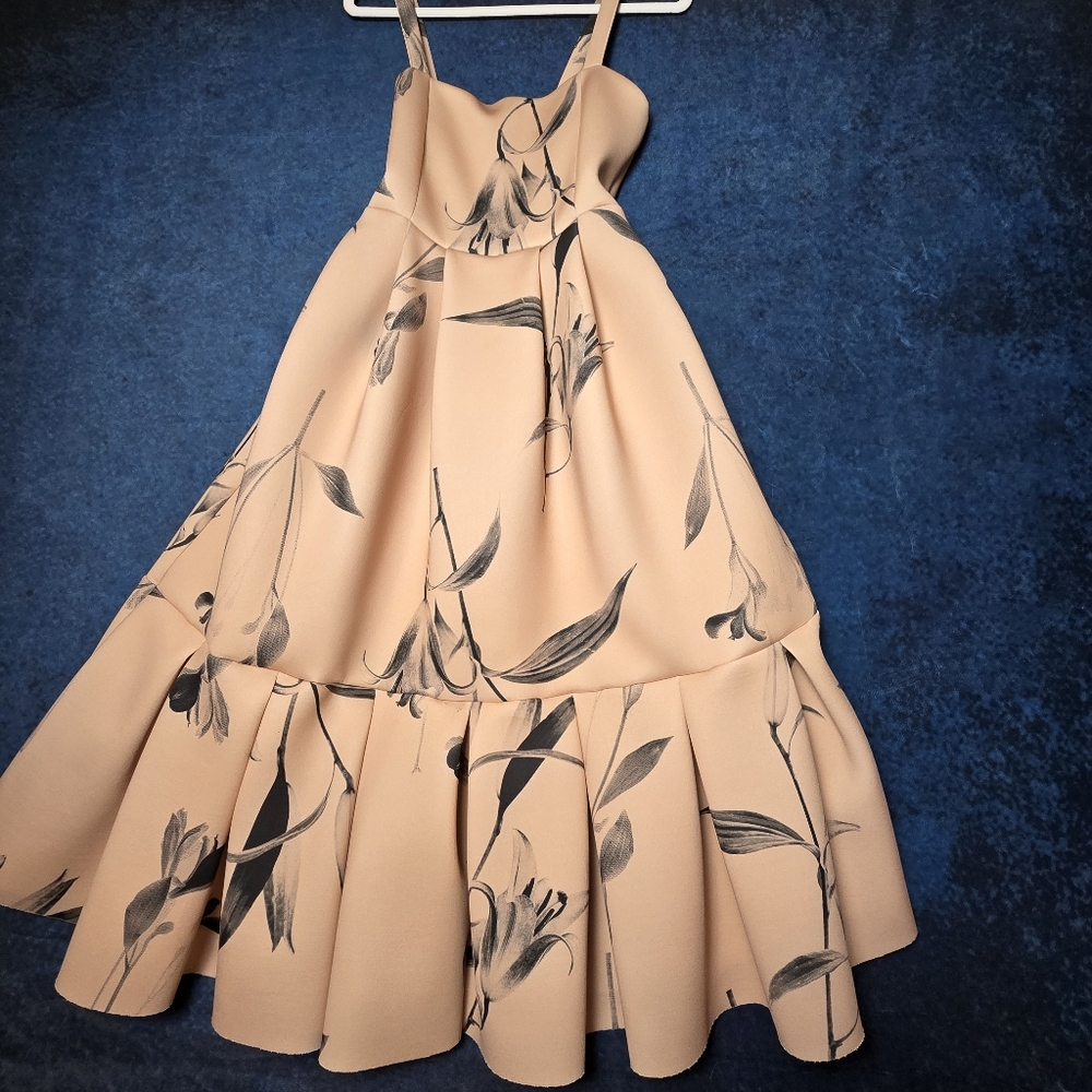 ASOS Beige Floral Midi Dress - Picture 11 of 11